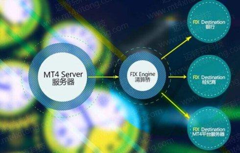 MT4网络解决方案 MT4服务器租用