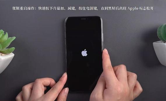 iphonexr苹果手机的强制关机怎么操作