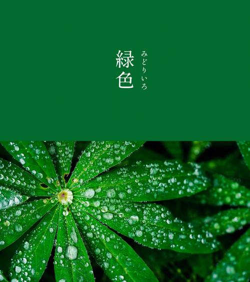 给你的色彩重新命名—绿色篇