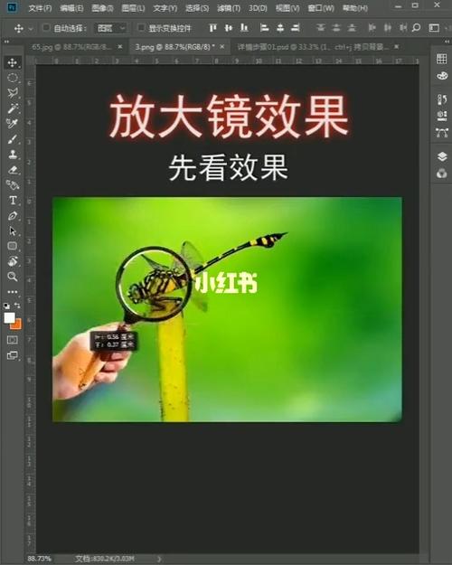 用photoshop制作放大镜效果