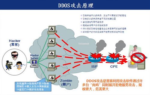 美国服务器常见的网络攻击