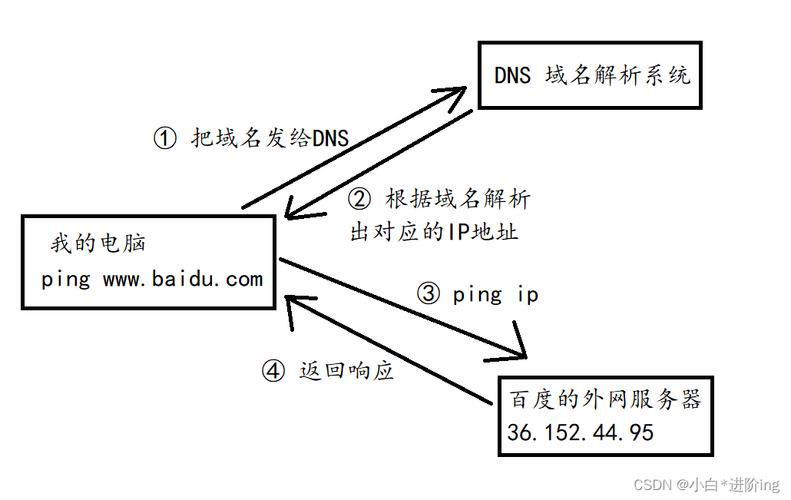 域名系统的解释，DNS的工作原理