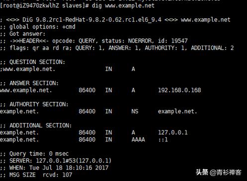 DNS 101：我应该运行自己的名称服务器吗？