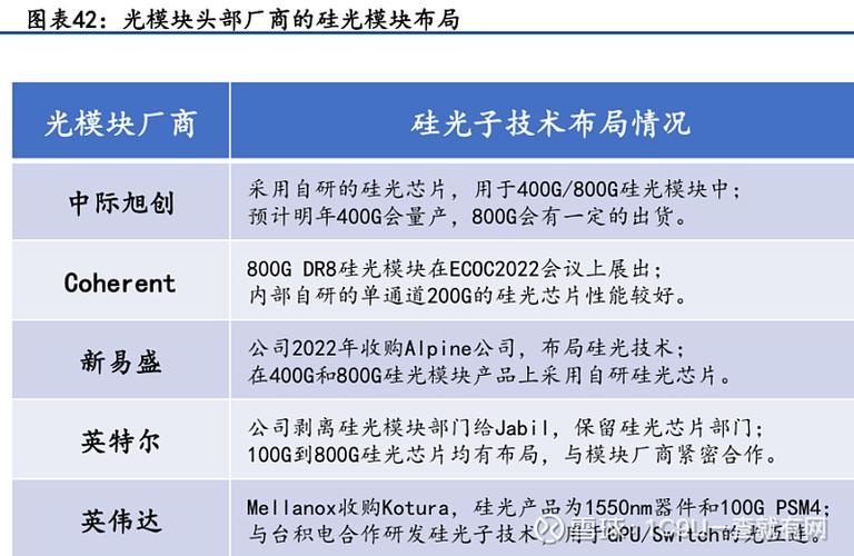 VPS主机技术：深度洞察