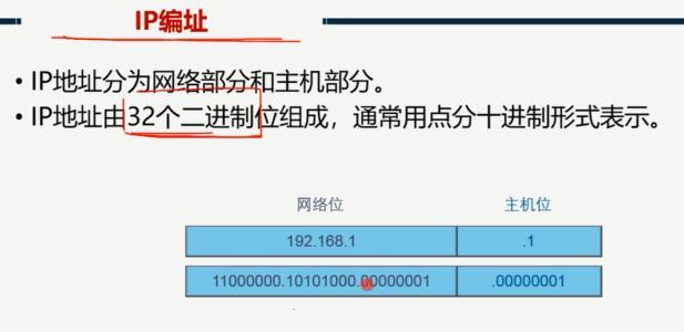 站群服务器多 ip 应该怎么使用