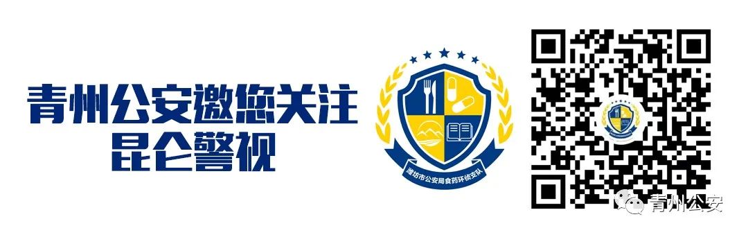 网站备案 公安局_公安备案局网站是什么_公安备案局网站登录