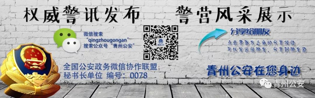 公安备案局网站是什么_网站备案 公安局_公安备案局网站登录