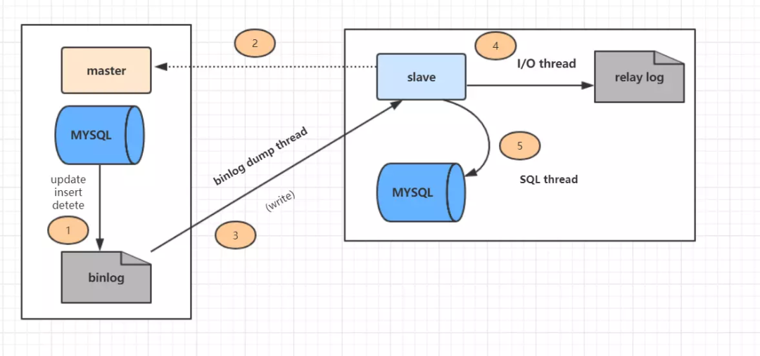 mysql t sql编程_编程培训机构_编程课主要学什么