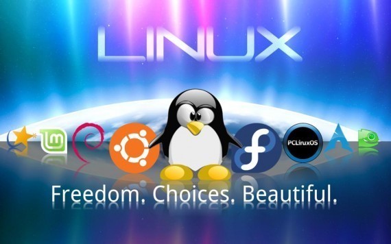 Linux实验室：最常用的Linux系统监控命令