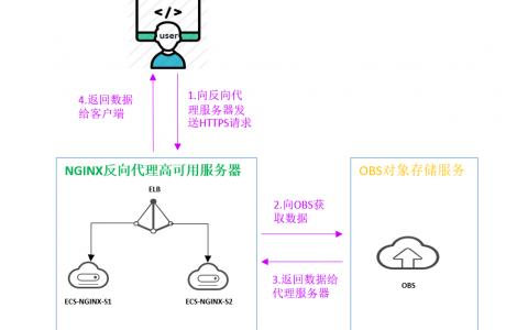 反向代理cdn代理_通过Nginx反向代理访问OBS