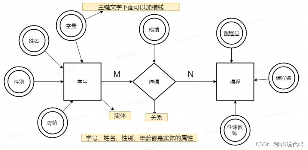 学生与课程之间联系的E-R图