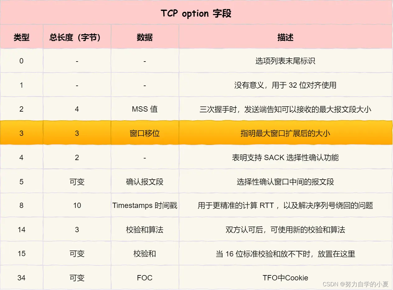 TCP option 字段