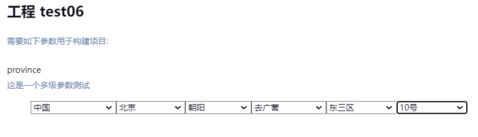 Jenkins参数化构建_安装包_74