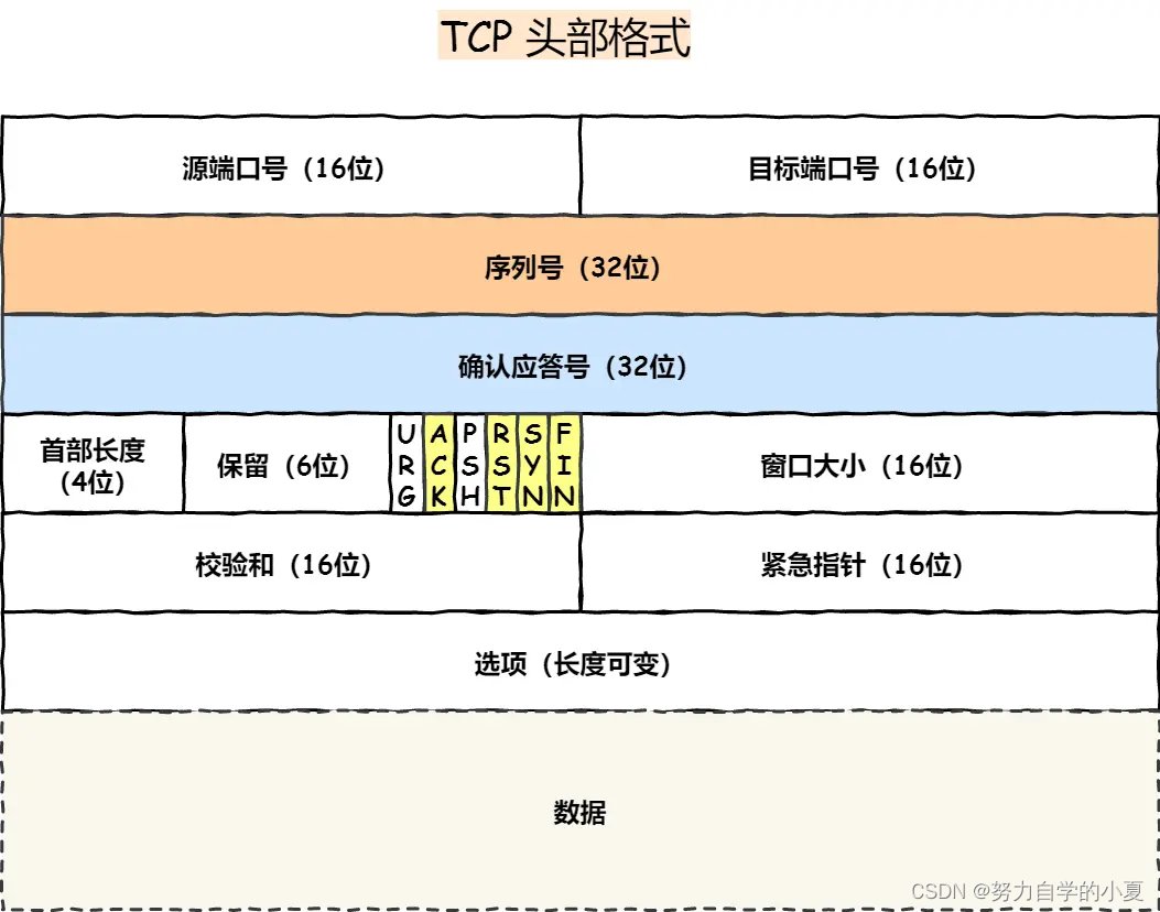 TCP 的报文格式