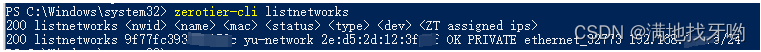 zerotier-cli listnetworks