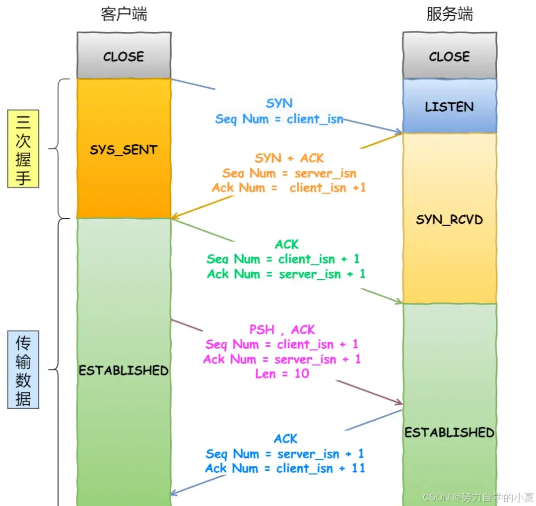 TCP 传输