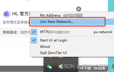 zerotier join new netowrk 加入网络