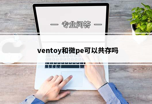 ventoy和微pe可以共存吗