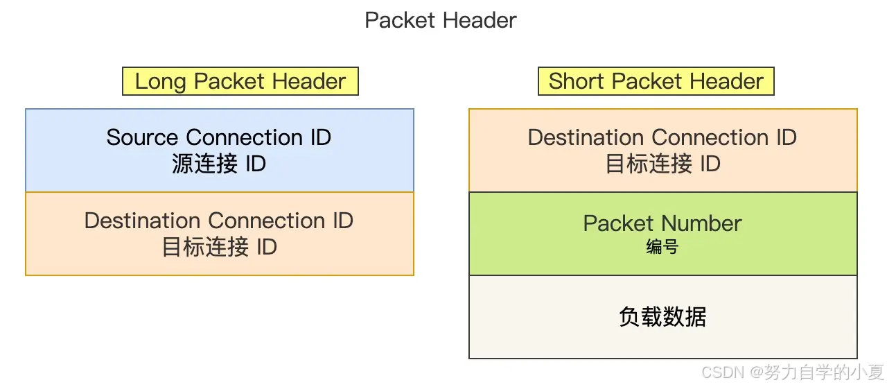 Packet Header