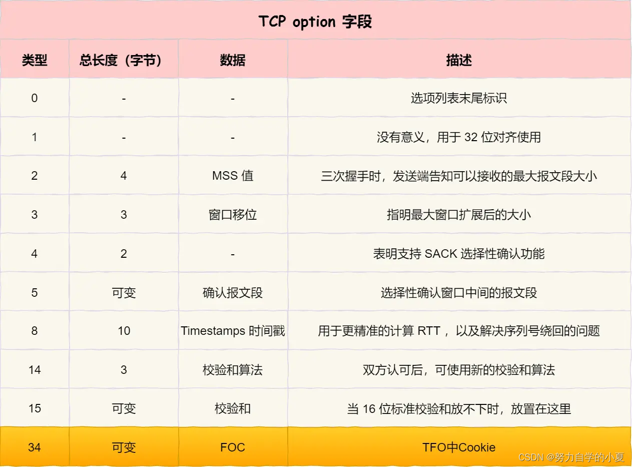 TCP option 字段