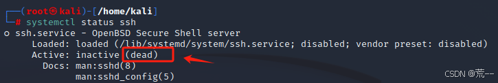 systemctl status ssh